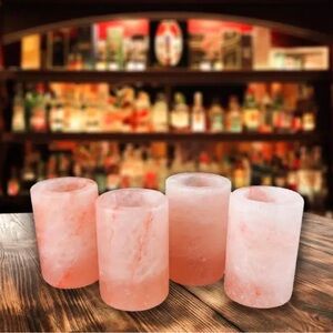 NWT Himalayan Salt Shot Glasses - Pink